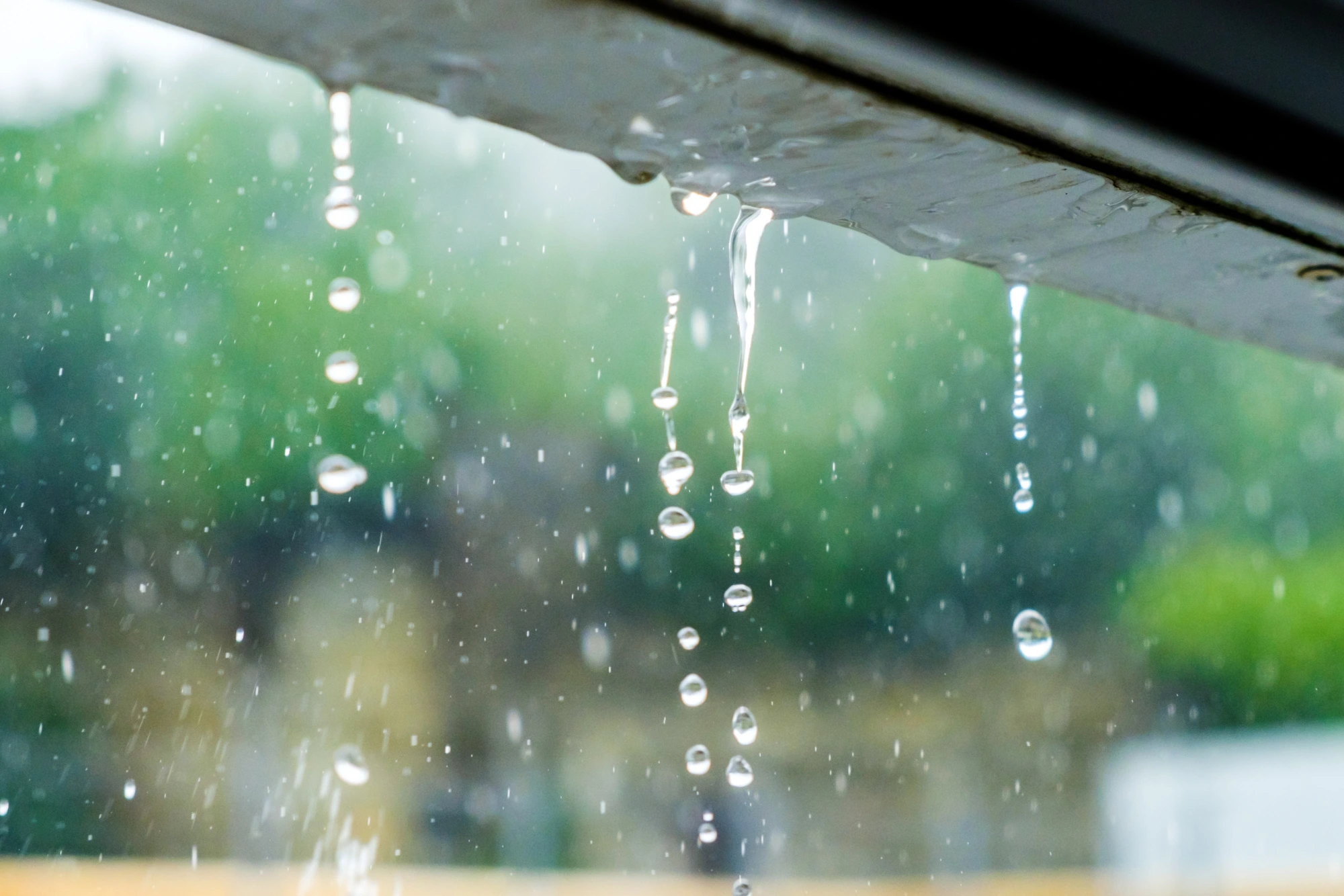 雨の滴る屋根